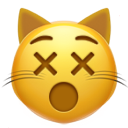 dizzy cat face emoji