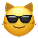 sunglasses-cat