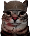 cat-soldjacat