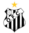 clube-futebol-brasileiro-operario-ms