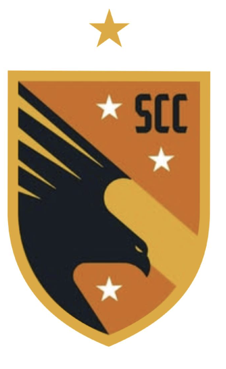 clube-futebol-brasileiro-santacatarina