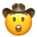 astonished cowboy emoji