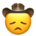 disappointed-cowboy