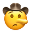 lying-cowboy