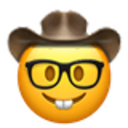 nerdy-cowboy