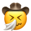 sneezing-cowboy