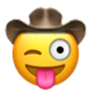 stuck-out-tongue-winking-cowboy