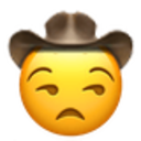 unamused-cowboy