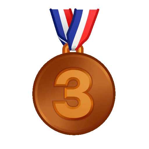 3rd Place Medal