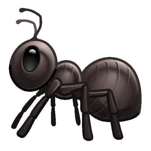 Ant
