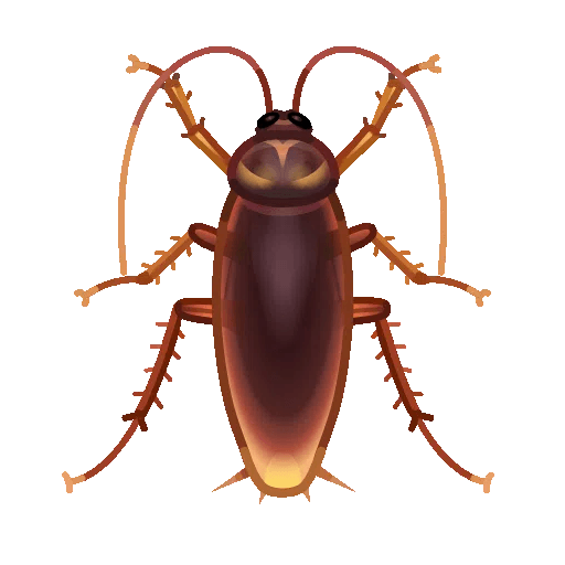 cockroach