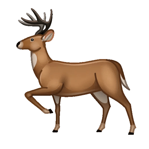 deer