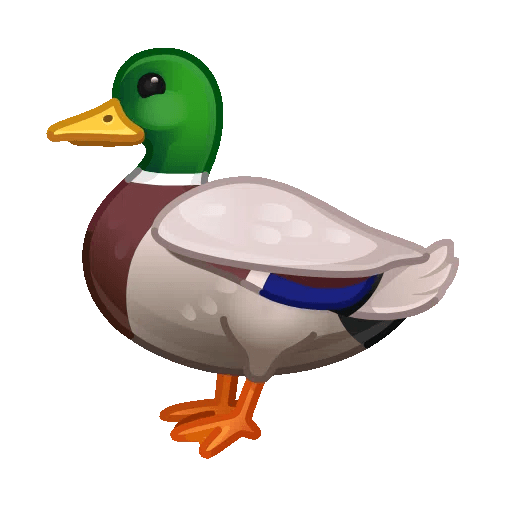 duck