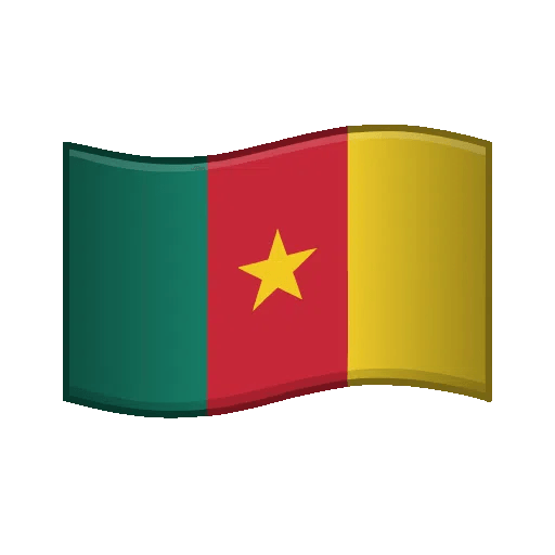 flag-cameroon