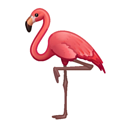 flamingo
