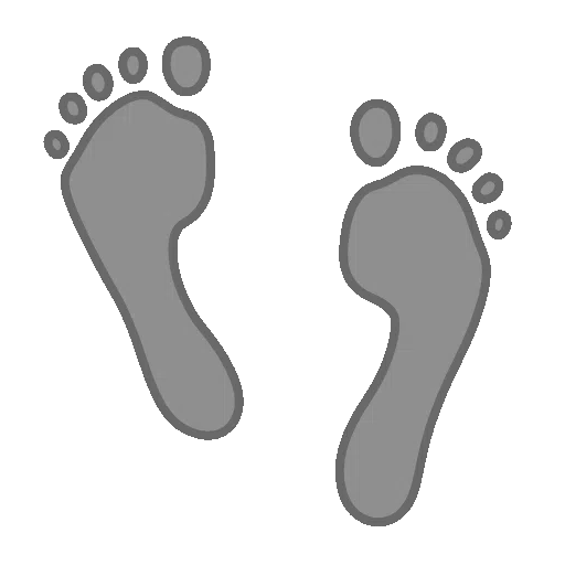 footprints