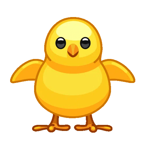 front-facing-baby-chick