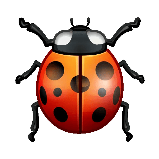 lady-beetle