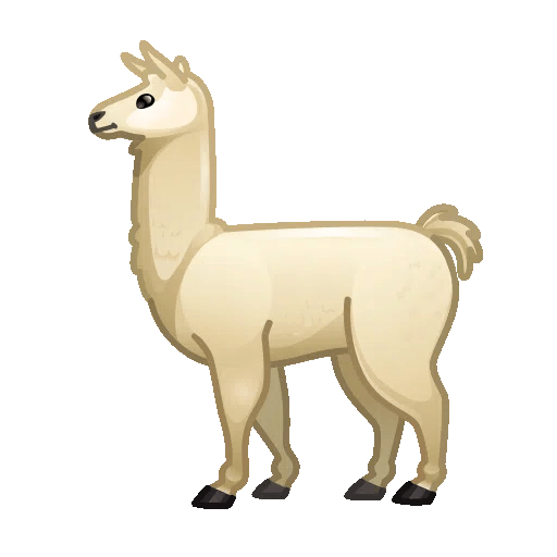 llama