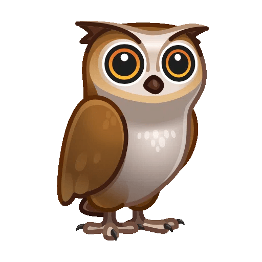 owl