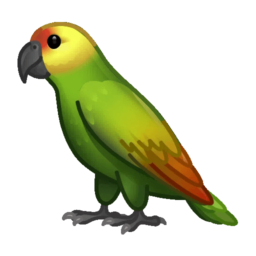 parrot