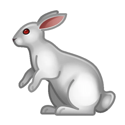 rabbit