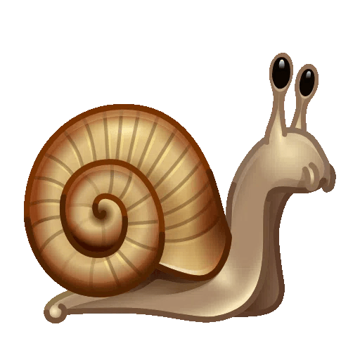 snail