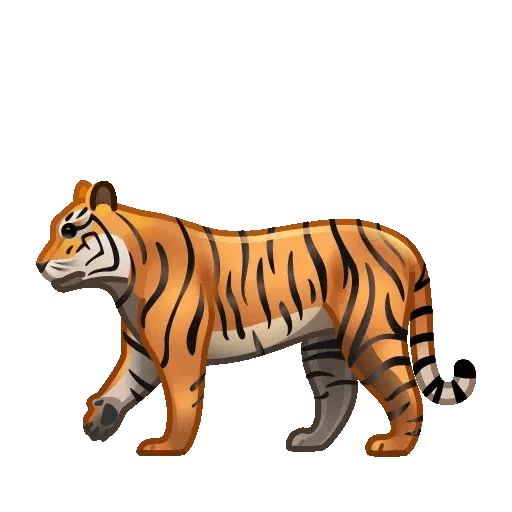 tiger