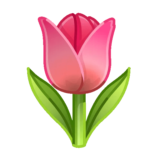 tulip