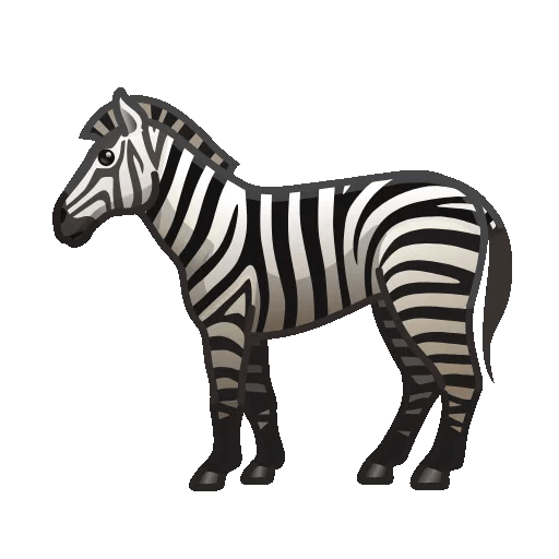 zebra