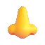 nose