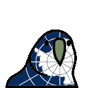 antarctica_parrot