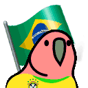 brazilian_fan_parrot
