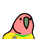 brazilian_player_parrot