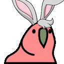 bunny_parrot