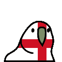 england_parrot