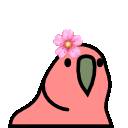 flower_parrot