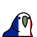 france-parrot