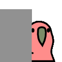 glimpse_parrot