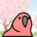 hanami_parrot