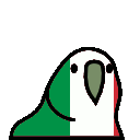 italy_parrot