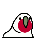 japan_parrot
