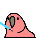 jedi_parrot