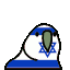 jewish_parrot