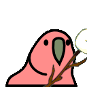 marshmallow_parrot