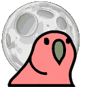 moon_parrot