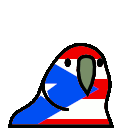parrot-puertorico