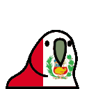 peru_parrot