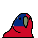 samoa_parrot
