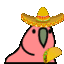 sombrero_parrot